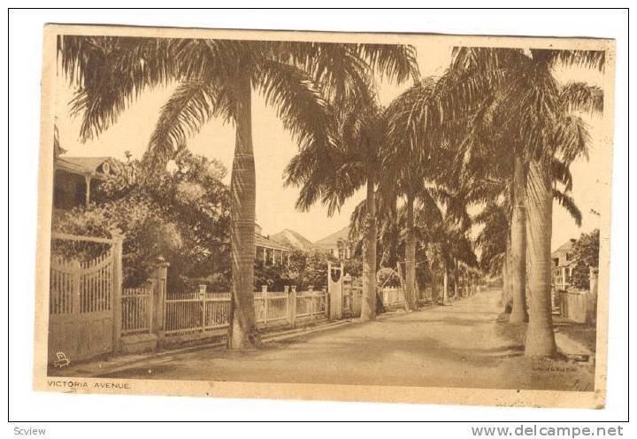 Nassau , Bahamas, 1910-20s ; Victoria Avenue