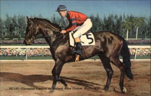 Horse Racing Hialeah Race Course Champion CITATION Linen Postcard