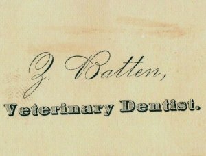 1870's-80's Veterinary Dentist Track Driving A specialty Batten P197