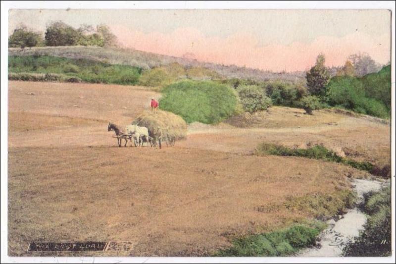 The Last Load - Hay