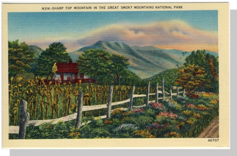 Smoky Mountains National Park, Postcard, NC/TN, Sharp Top Mountain, Near Mint!