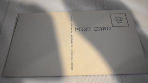 Waterfall at Night Krape Park Freeport Illinois Postcard Curt Teich