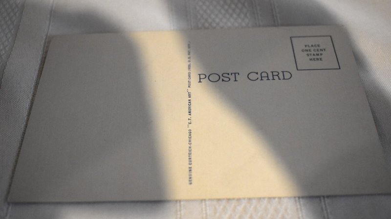 Waterfall at Night Krape Park Freeport Illinois Postcard Curt Teich