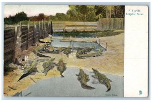St. Augustine Florida FL Postcard A Florida Alligator Farm Tuck 1909 Antique