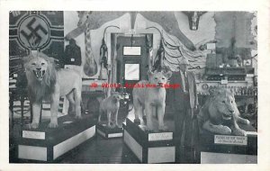 NH, Warren, New Hampshire, I.H. Morse Museum, Mounted Lions, Taxidermy