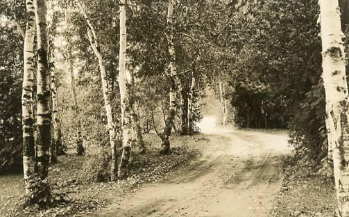 MI - Frankfort. A Country Road - RPPC