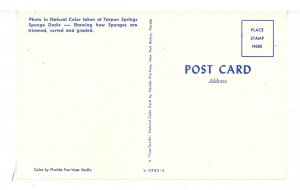 FL - Tarpon Springs. Trimming, Sorting & Grading Sponges at the Dock