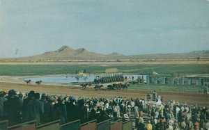 Turf Paradise Race Track Arizona  1950-60s
