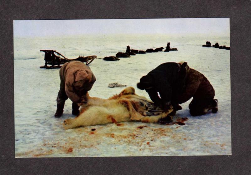 AK Eskimos Taxidermy Polar Bear Arctic Alaska Postcard Jonas Bros Anchorage