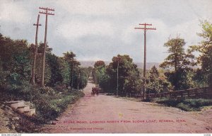 WINONA, Minnesota, PU-1909; Old Stone Road Looking North From Sugar Loaf