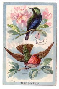 Tuck Educational Series, Birds, Humming-Birds, Embossed, Newfoundland Map Sta...