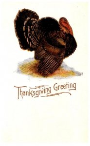 Thanksgiving  ,   Tom Turkey