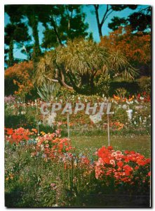 Modern Postcard Cap d'Ail French Riviera France view of a corner of the park