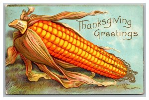 Vintage 1909 Thanksgiving Postcard Giant Ear of Corn Gold Accents NICE