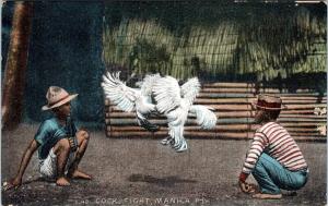 MANILA, Philippines    COCK FIGHT    c1910s    Postcard