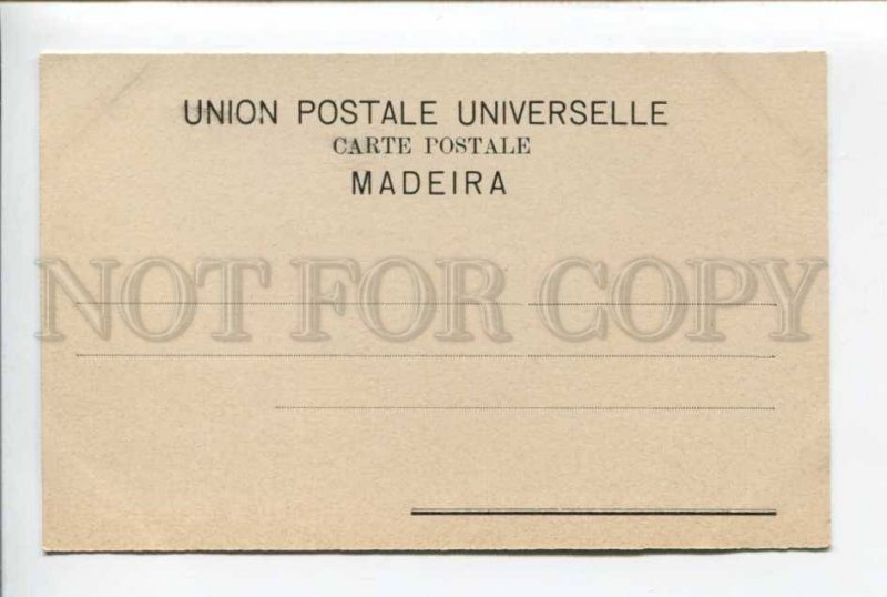 424408 PORTUGAL MADEIRA Reids Palace Hotel Vintage postcard