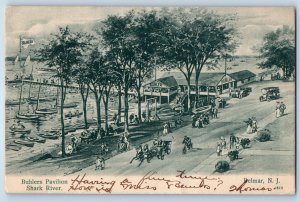 1906 Belmar New Jersey Vintage Postcard Buhlers Pavilion Shark River Aerial View