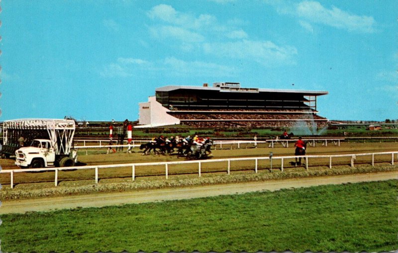 Canada Toronto Woodbine Race Course Horse Racing