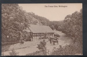 Shropshire Postcard - The Forest Glen, Wellington   RS11812