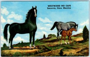 SOCORRO, New Mexico NM  Advertising WESTWARD HO CAFE Black Stallion Postcard