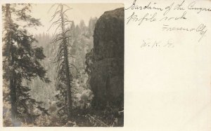 Fresno Redwoods CA  W.K. Gilmore Guardian of The Canyons RPPC