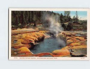 Postcard Oblong Geyser Crater, Yellowstone National Park, Wyoming