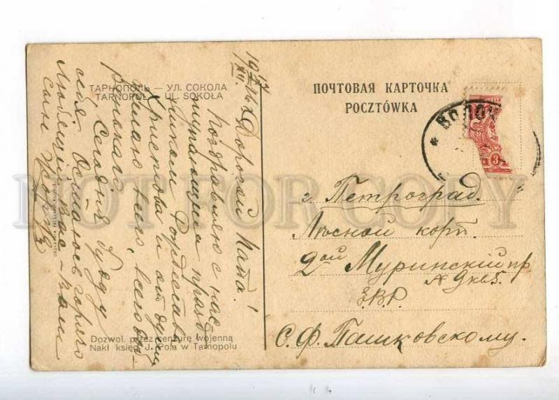 233189 UKRAINE Tarnopol Ternopil street Falcon old postcard