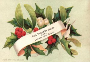 1880s-90s Holly Flowers Faith Whitcomb's Balsam Coughs and Cold's