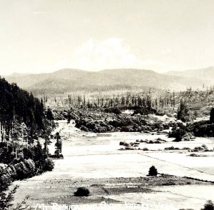 RPPC Mount Rainier From Ohop Valley Ellis 1920s Washington Pacific NW PCBG6C