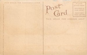 Mammoth Pear Postcard