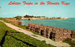 Florida Conch Key Lobster Traps