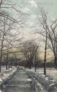 Winter Scene in Bushnell Park - Hartford CT, Connecticut - pm 1908 - DB