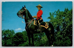 Royal Canadian Mounted Police in Canada Fredericton to Malden Mass Postcard D25