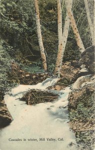 Hand Colored Postcard Cascades in Winter Mill Valley Marin Co Lockwoods Pharmacy