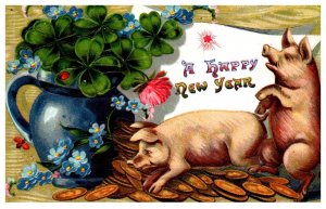 New Year , Pigs and Coins