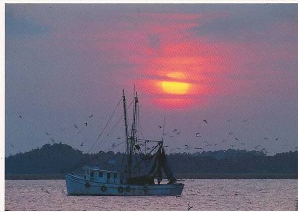 Shrimp Boat On Skull Creek At Sunset Hilton Head Island South Carolina