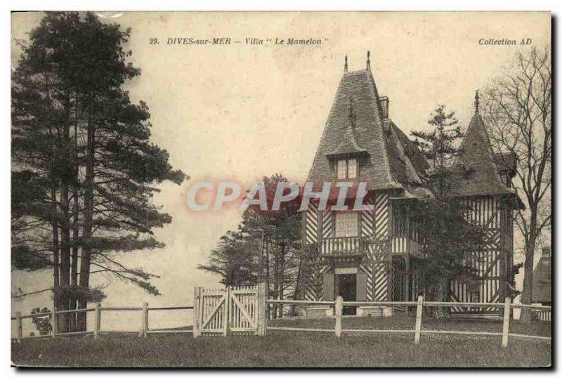 Old Postcard Dives sur Mer Villa The Nipple