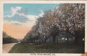 Postcard Scene Near Moline IL 1921