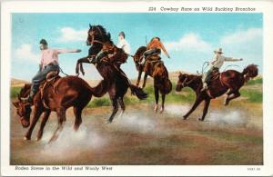 Cowboy Race on Wild Bucking Broncos Horses Rodeo UNUSED Postcard D85