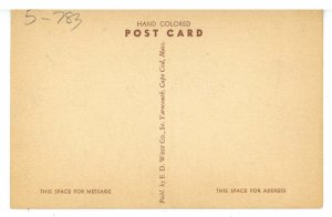 MA - Cape Cod, Chatham. The Rose Cottage