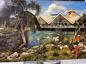 Vintage 1960s Hospitality House Busch Gardens Tampa Florida Photo Postcard