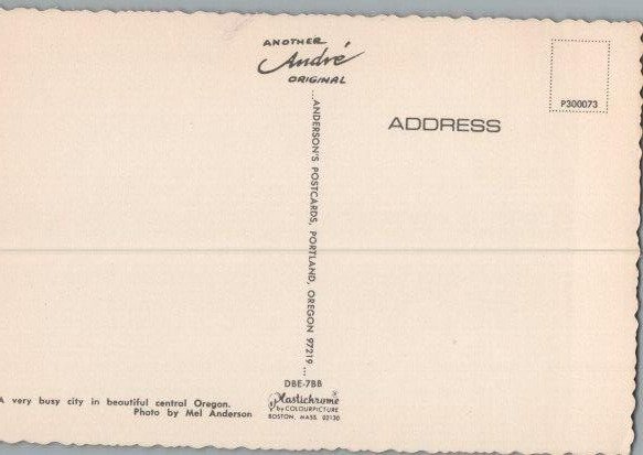 Aerial View Redmond Oregon Continental Chrome Postcard