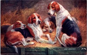 Fox Hounds Tucks 9381 Friend of Man Dogs Postcard X54