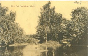 Worcester Massachusetts Elm Park 1909 Sepia Litho Postcard Used