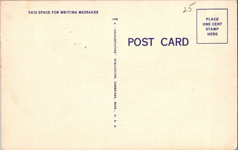 c1940s Hungry Alligator Florida Postcard KG15