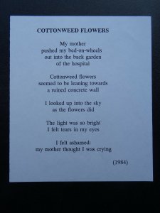 COTTONWEED Paintings Poems by Japanese Disabled Artist Tomihiro Hoshino PC