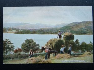 Cumbria Country Life HAYMAKERS at WINDERMERE from WANSFELL c1906 Postcard