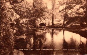 New York Port Chester St Luke's Convalescent Hospital Duck Pond