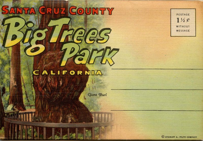 Folder - CA, Big Trees Park, Santa Cruz County     18 views + narrative