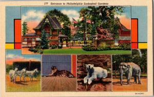 Philadelphia Zoological Gardens Multi View Entrance Animals Vintage Postcard Q15